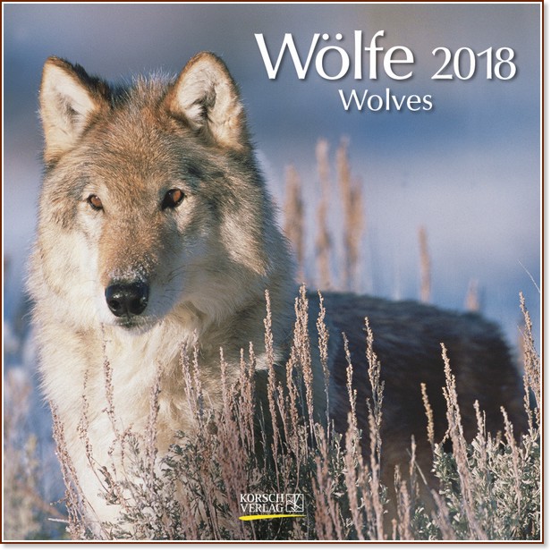   - Wolfe 2018 - 
