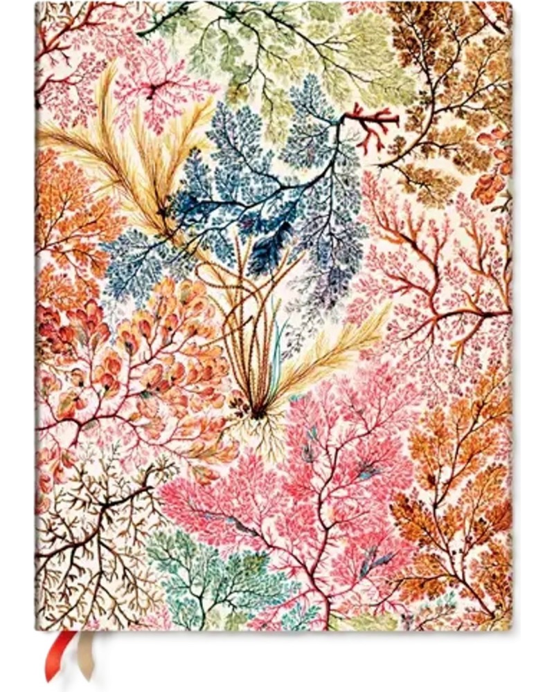 Тефтер-планер Paperblanks Anemone 2026 Тефтер-планер Paperblanks Anemone 2026 - 18 x 23 cm, с бели листове от колекцията William Kilburn - планер