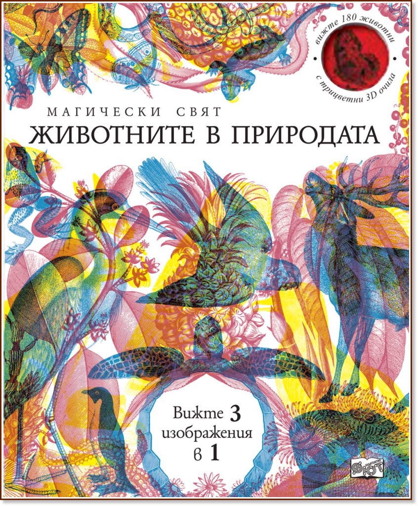 ��������� ����: ��������� � ��������� - ������ �����