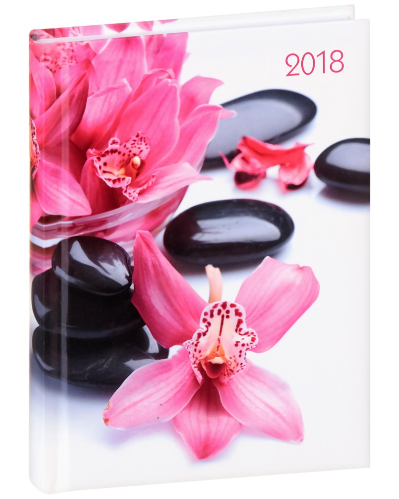 Lady Timer - Orchideen:  -  2018 - 11.00 x 15.3 cm - 