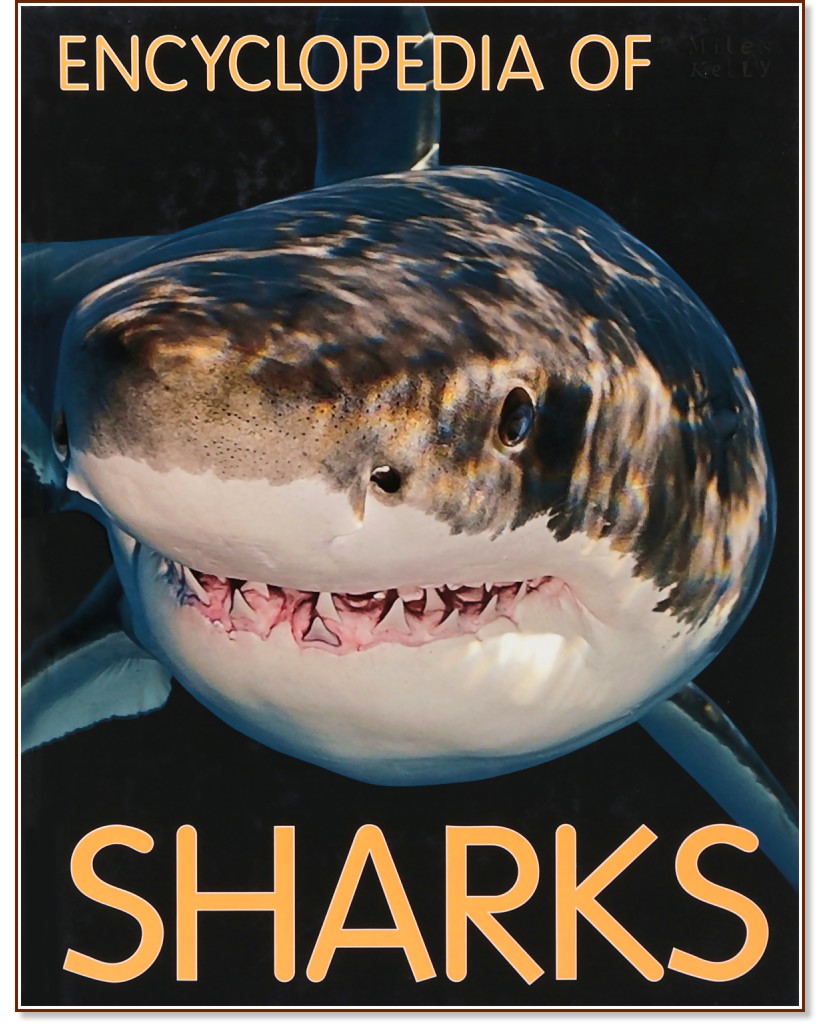 Encyclopedia of Sharks - 