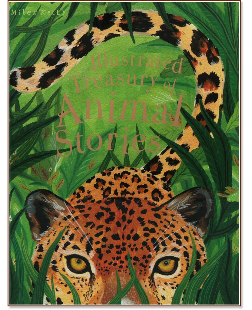 Illustrated Treasury of Animal Stories - 