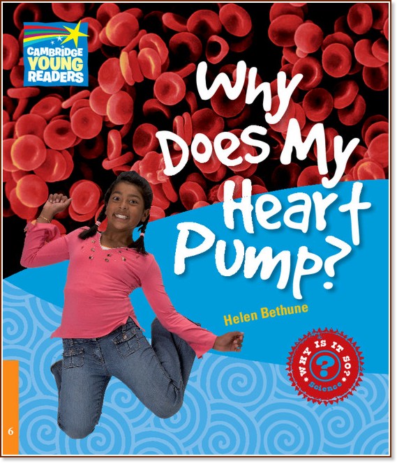 Cambridge Young Readers -  6 (Pre-Intermediate): Why Does My Heart Pump? - Helen Bethune - 