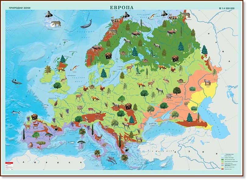 Стенна карта на Европа с природни зони - M 1:4 500 000 - карта