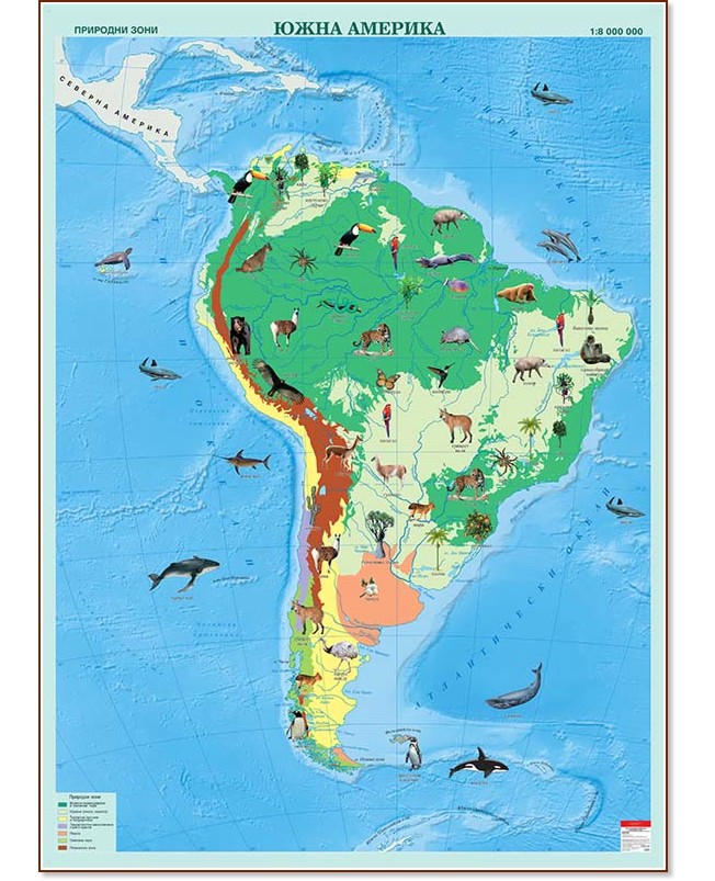 Стенна карта на Южна Америка с природни зони - M 1:8 000 000 - карта