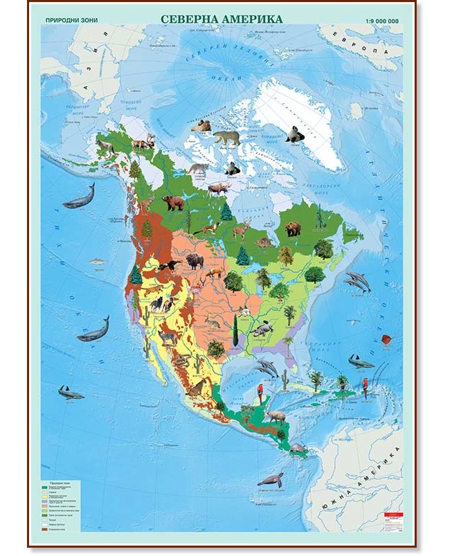 Стенна карта на Северна Америка с природни зони - M 1:9 000 000 - карта