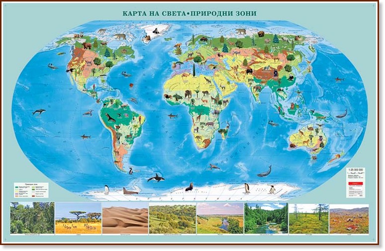 Стенна карта на света с природни зони - M 1:25 000 000 - карта