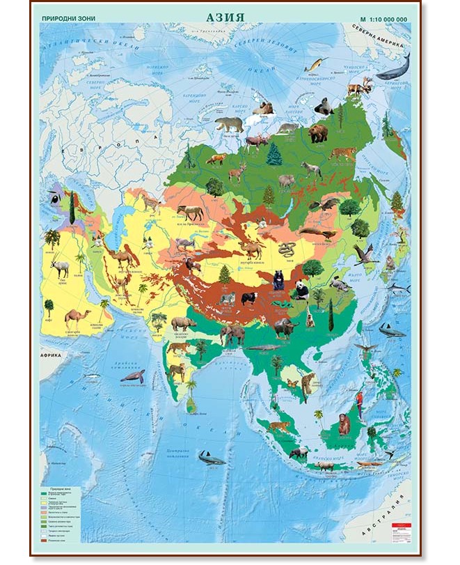 Стенна карта на Азия с природни зони - M 1:10 000 000 - карта