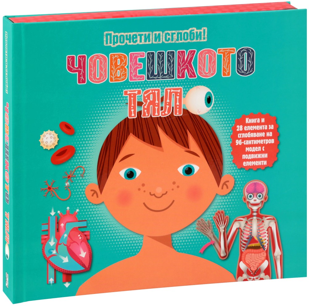 Прочети и сглоби: Човешкото тяло + макет - детска книга