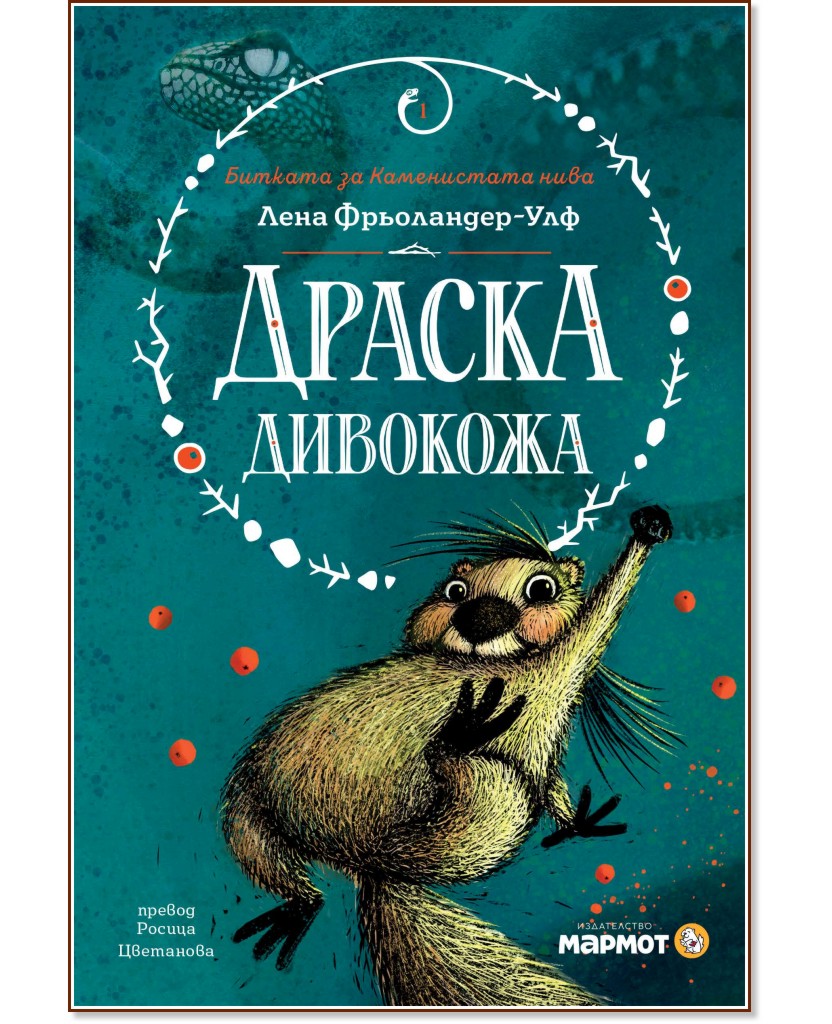 ������ �������� - ���� ����������-��� - ������ �����