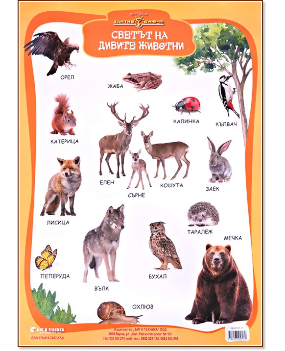 Златно ключе: Учебно табло - Светът на дивите животни за 1., 2., 3., 4. подготвителна група - табло