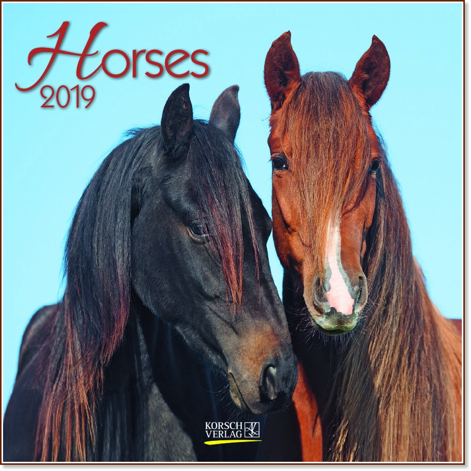   - Horses 2019 - 
