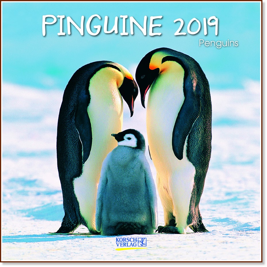   - Pinguine 2019 - 