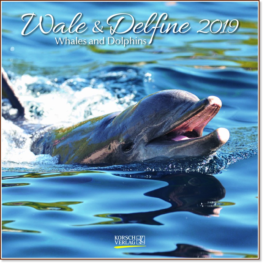   - Wale and Delfine 2019 - 