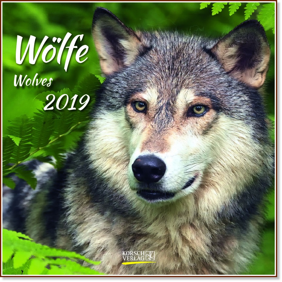   - Wolfe 2019 - 