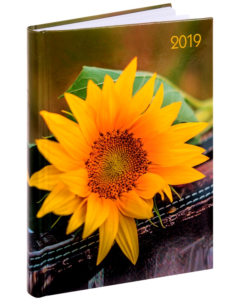 Lady Timer - Sonnenblume:  -  2019 - 11.00 x 15.3 cm - 