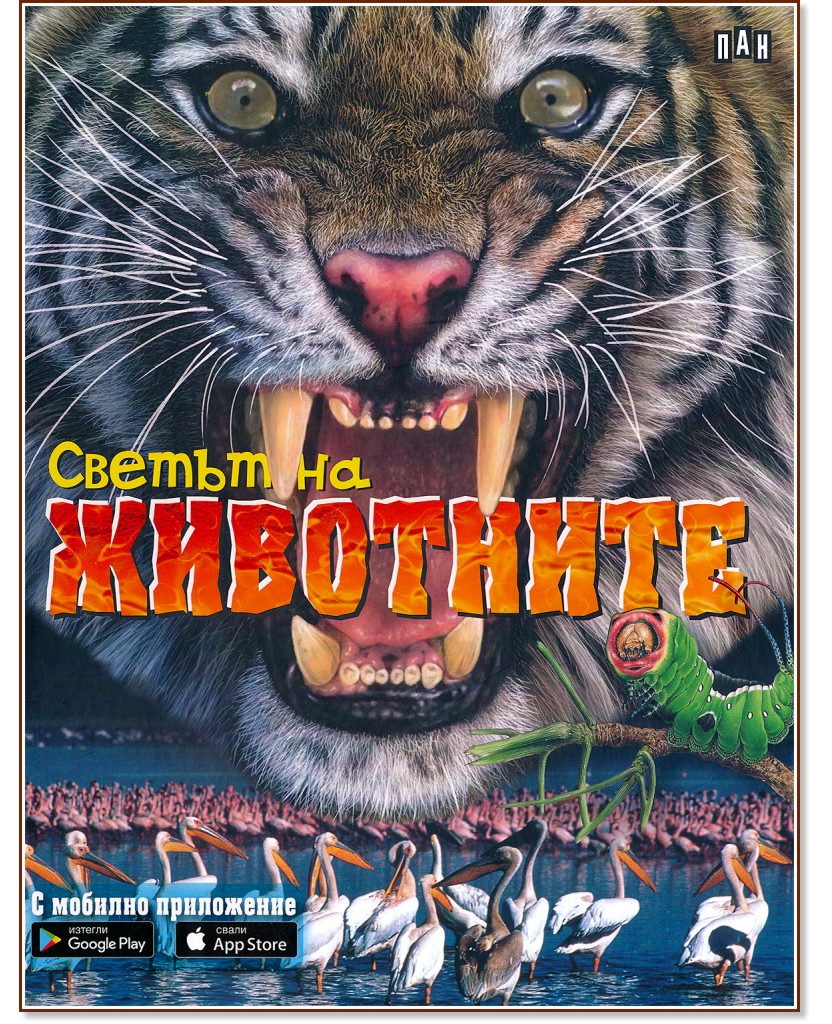 ������ �� ��������� - �����