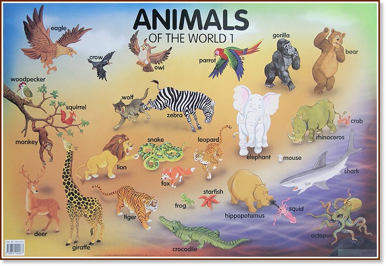 Animals of the World 1:      - 77 x 52 cm - 