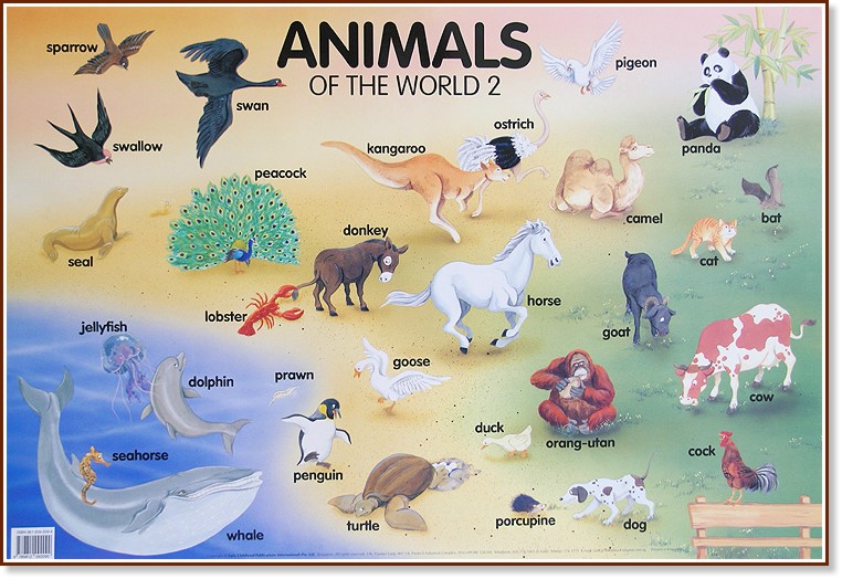 Animals of the World 2:      - 77 x 52 cm - 