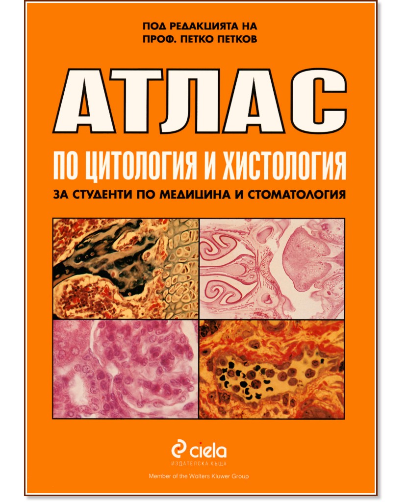 ����� �� ��������� � ���������� �� �������� �� �������� � �������� �������� - ����� ������ - �����