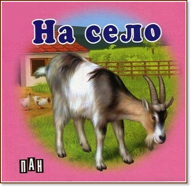 ������ ���������: �� ���� - �����