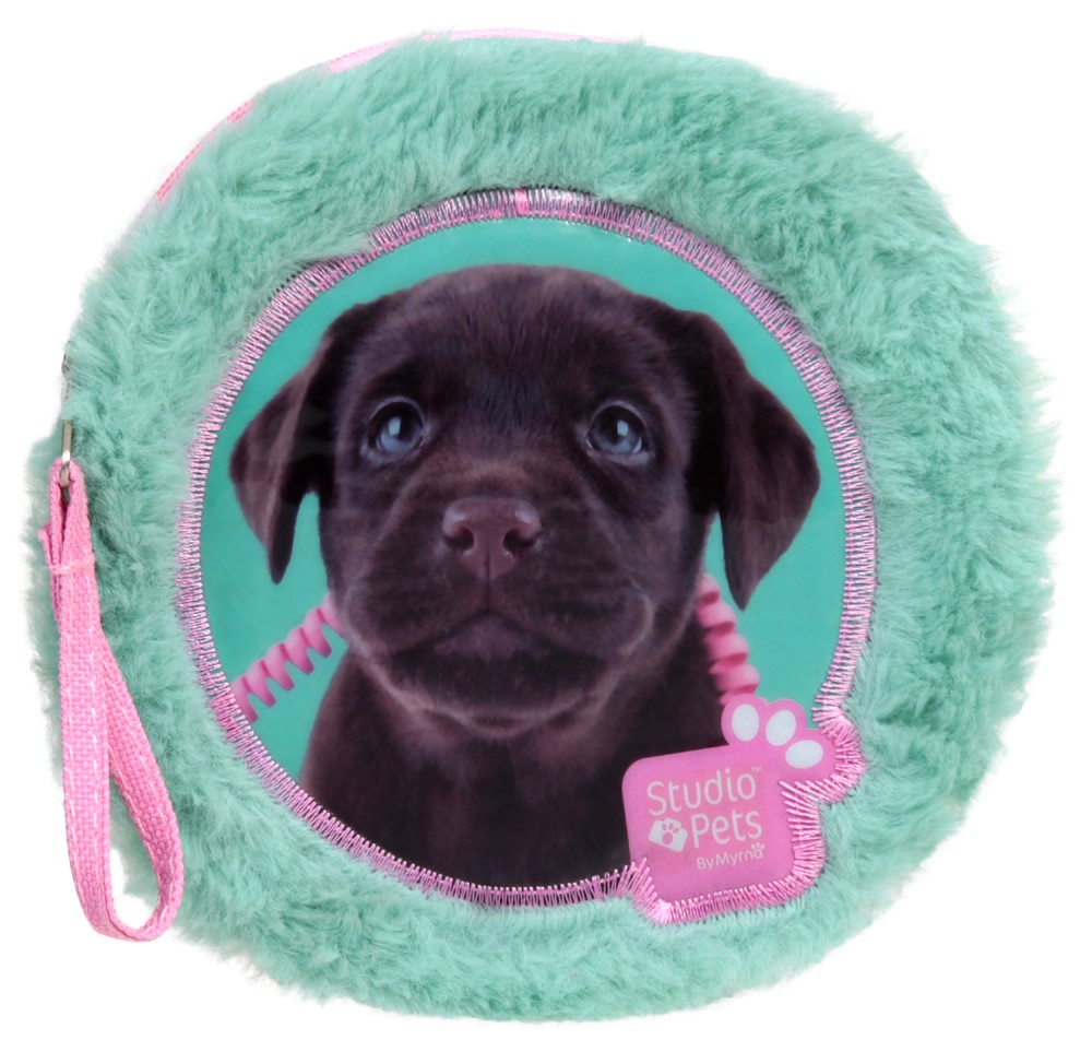������ ������� � 2 ���������� Paso - ���� - �� ������� Paso: Studio Pets - �������