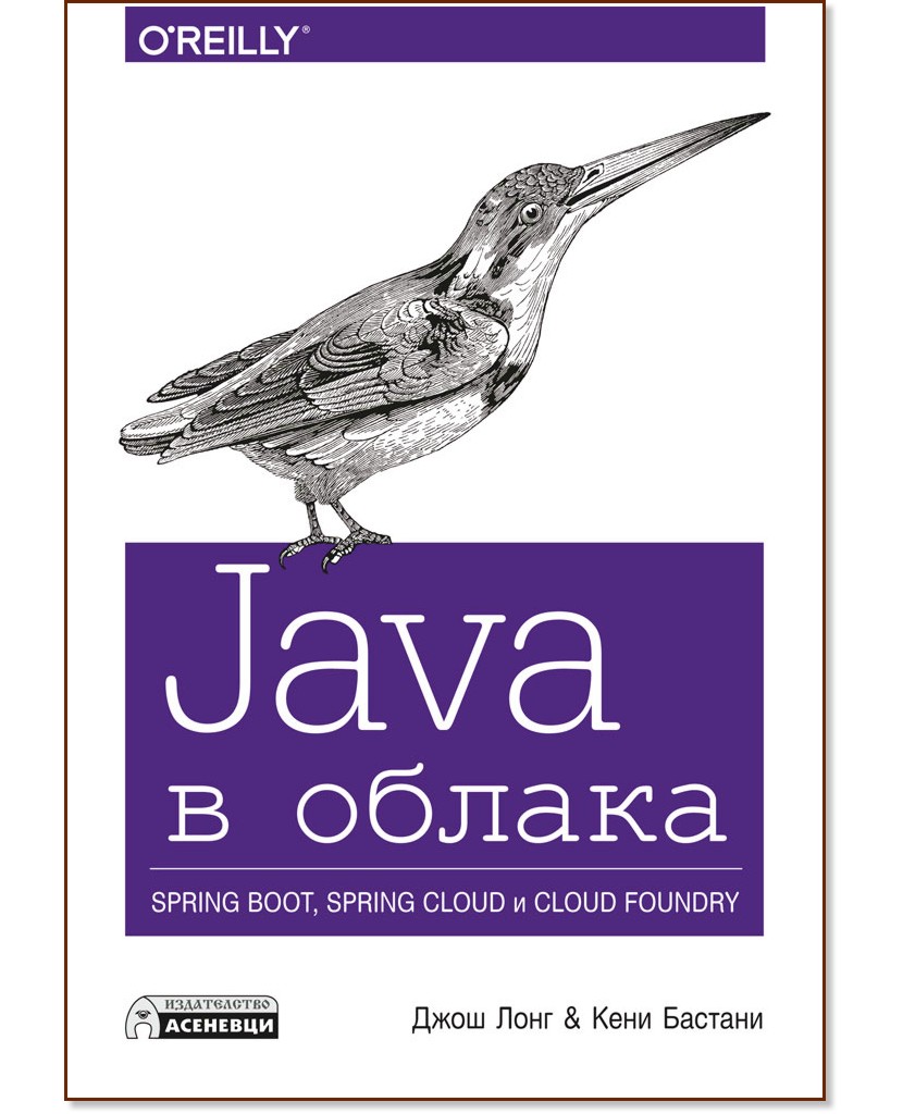 Java  . Spring Boot, Spring Cloud  Cloud Foundry -  ,   - 