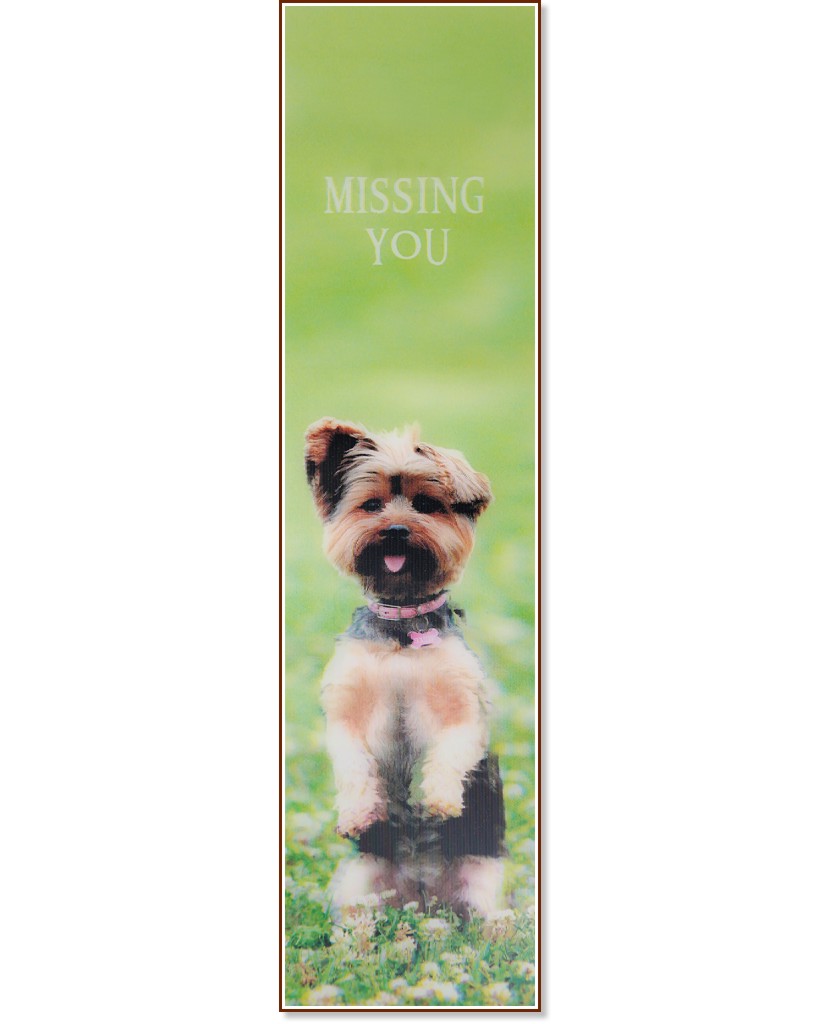 3D  - Missing You - 
