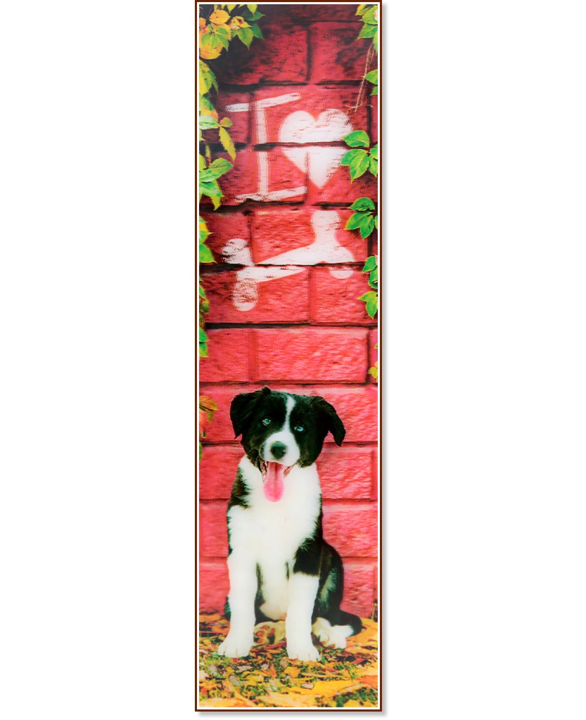 3D книгоразделител - I Love Bones 3D книгоразделител - I Love Bones - продукт