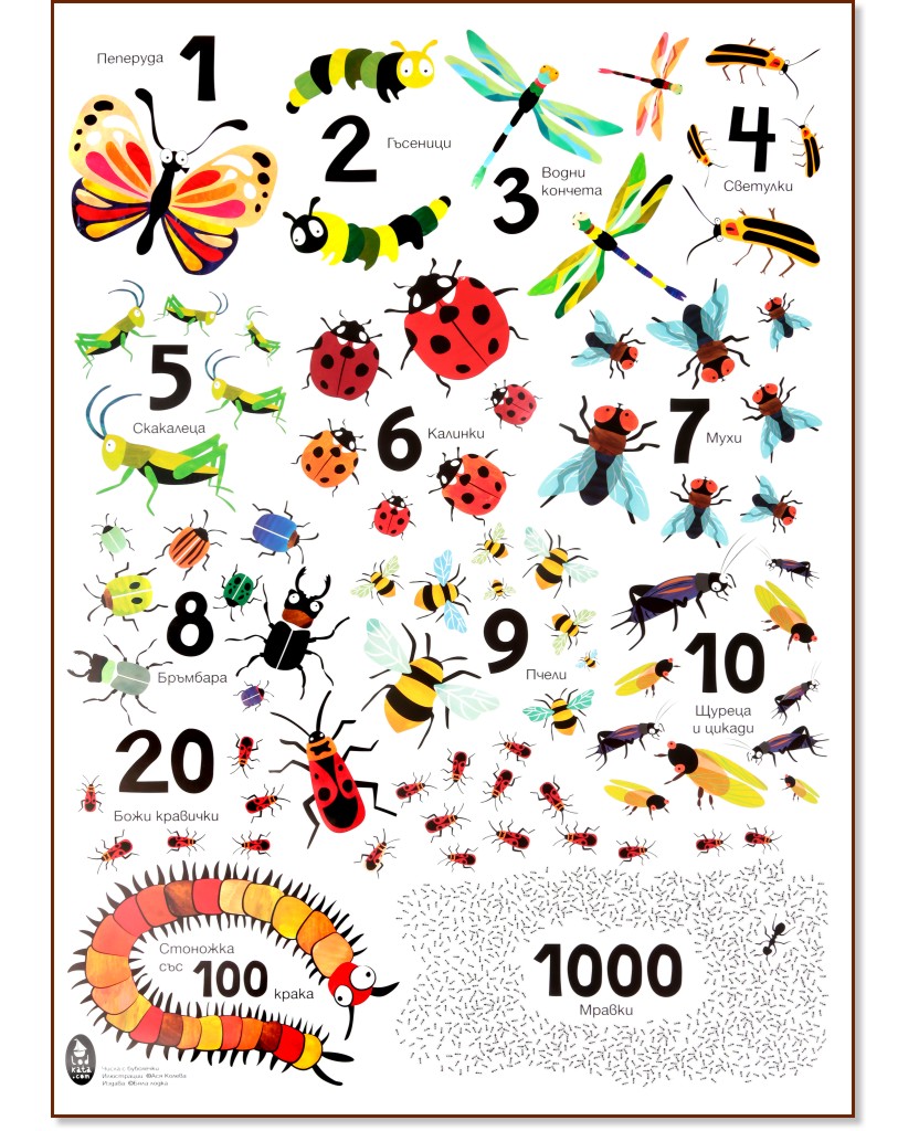  :    - 50 x 70 cm - 