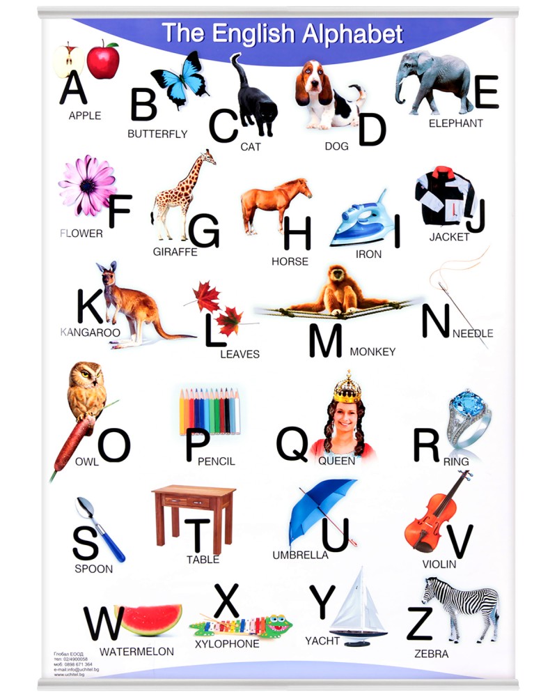  : The English Alphabet - 50 x 70 cm - 