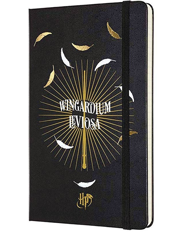  - Wingardium Leviosa - 13 x 21 cm    - 