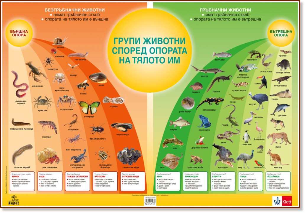 Учебно табло по човекът и природата за 4. клас - store.bg