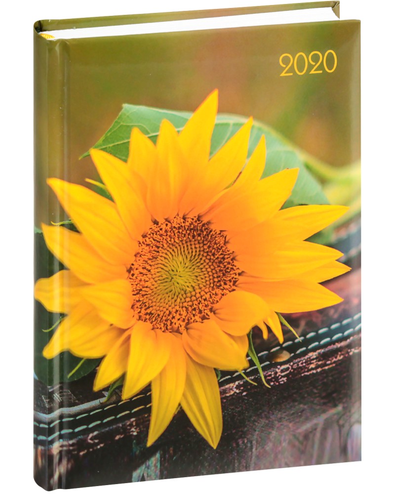 Lady Timer - Sonnenblume:  -  2020 - 11.00 x 15.3 cm - 