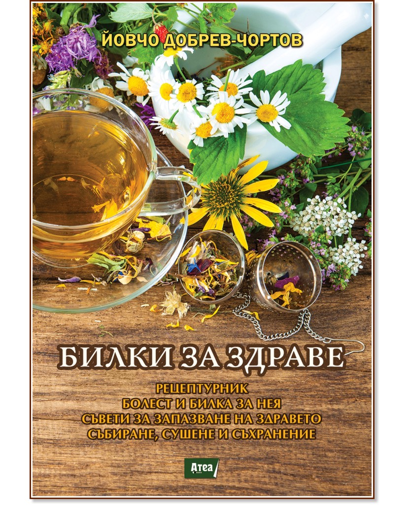 ����� �� ������ - ����� ������-������ - �����