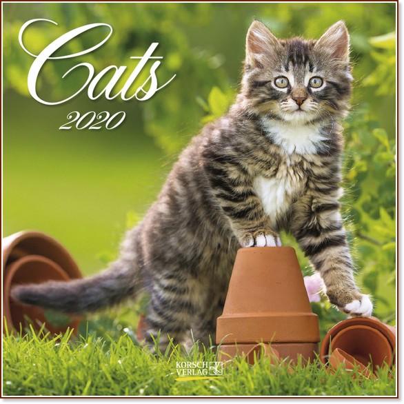   - Cats 2020 - 