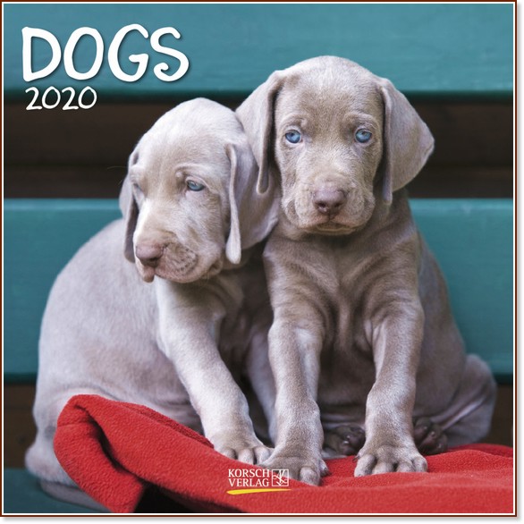   - Dogs 2020 - 