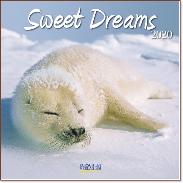   - Sweet Dreams 2020 - 