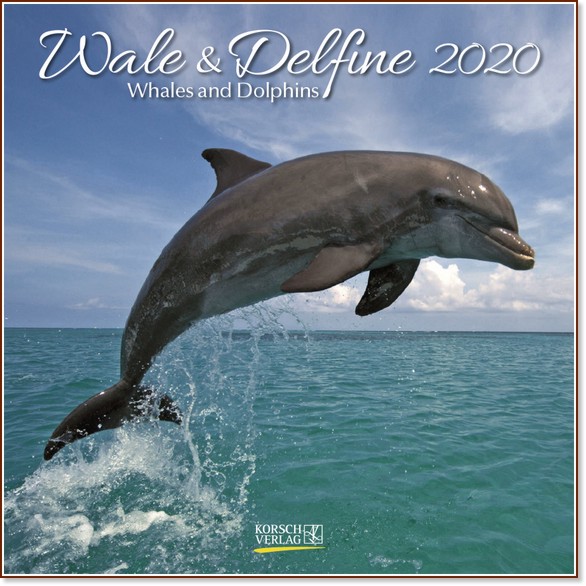   - Whales & Dolphins 2020 - 