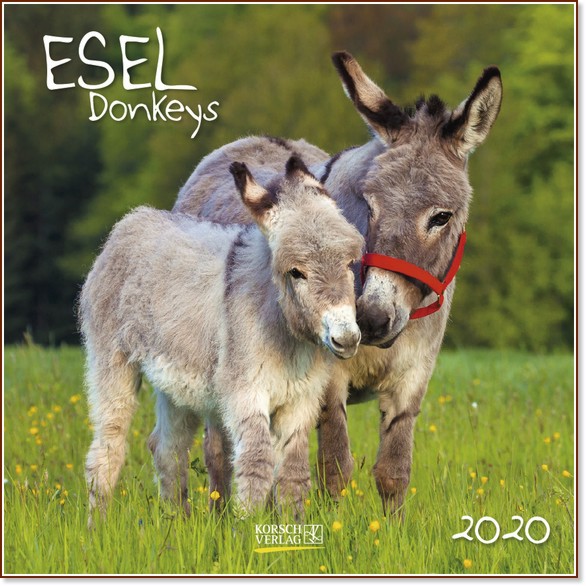   - Donkeys 2020 - 