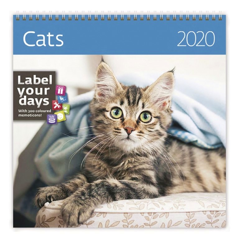   - Cats 2020 - 