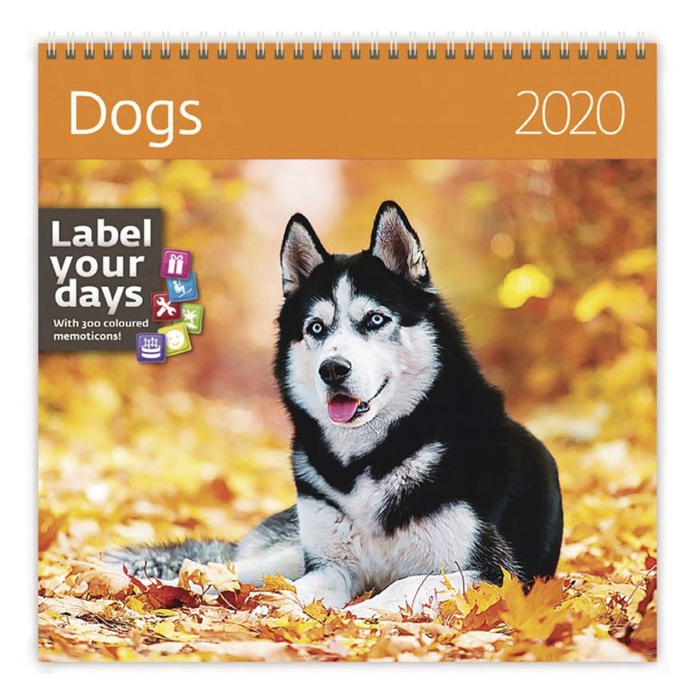   - Dogs 2020 - 