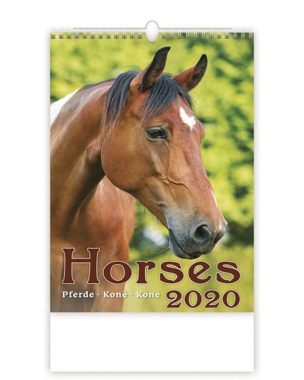   - Horses 2020 - 