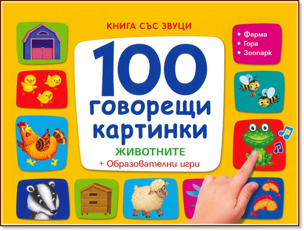100  :  -    -  