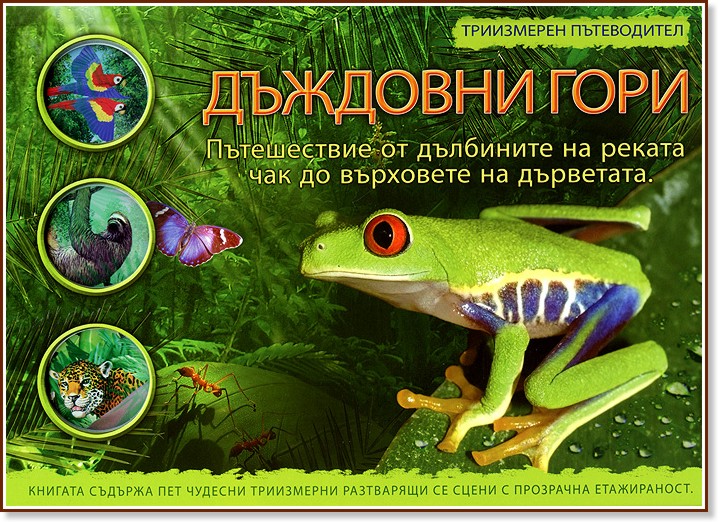 �������� ���� - ���������� ����������� - ��� ������ - �����