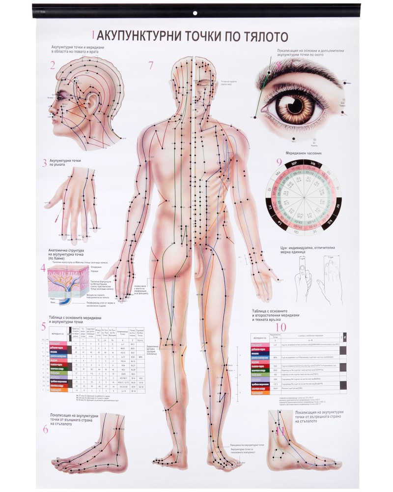 ������ �����: ������������ ����� �� ������ - 47.8 � 68 cm - �����