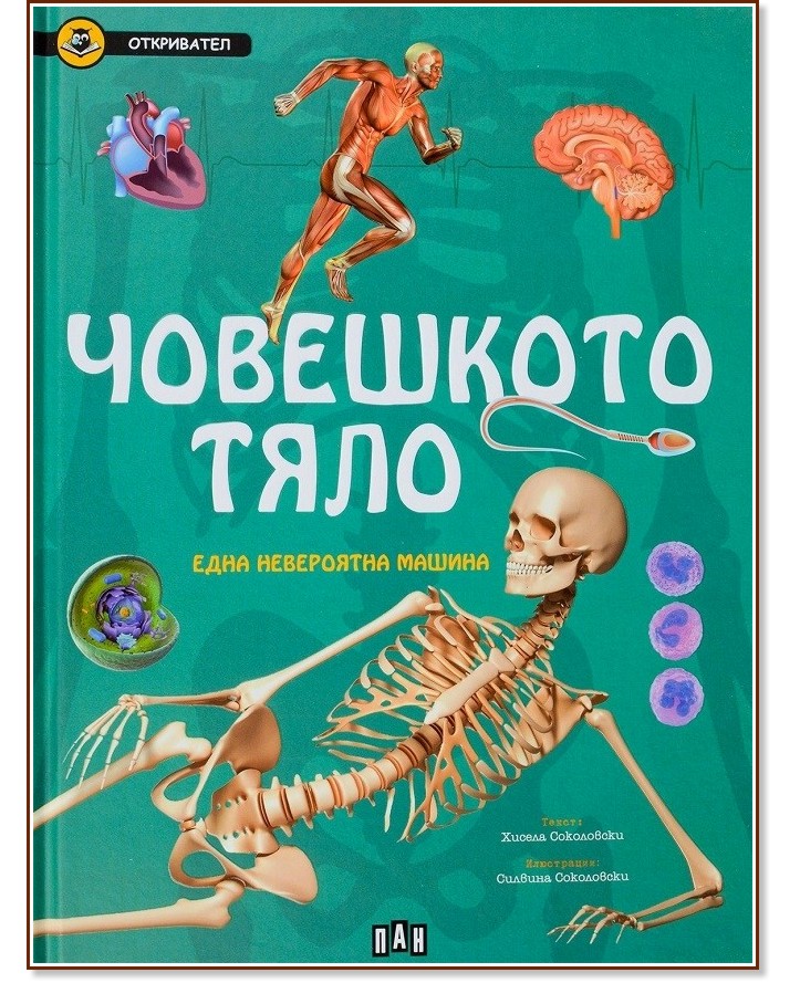Откривател: Човешкото тяло - Хисела Соколовски - детска книга