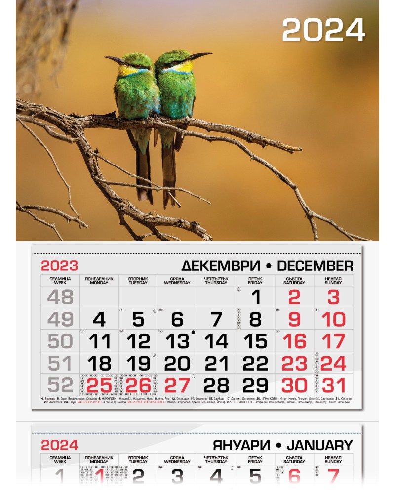 ������������ �������� - �������� 2024 - ��������