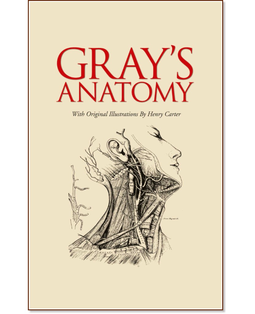 Gray's Anatomy - Henry Gray - 