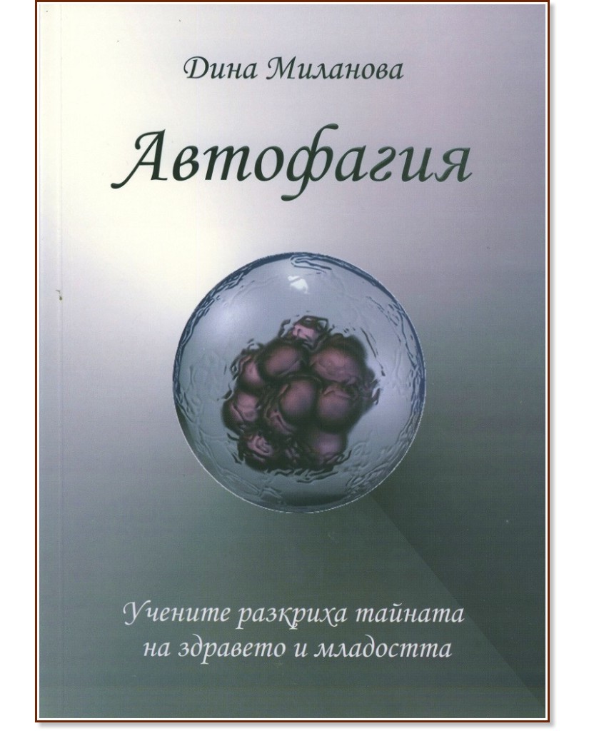 ��������� - ���� �������� - �����